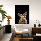 Animal Black Rabbit Head 41 Wall Art