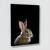 Animal Black Rabbit Head 44 Wall Art