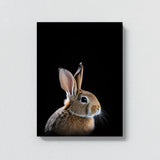 Animal Black Rabbit Head 44 Wall Art