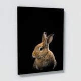 Animal Black Rabbit Head 45 Wall Art