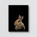 Animal Black Rabbit Head 45 Wall Art