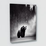 Bear 18 Wall Art