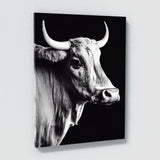 Bull 16 Wall Art