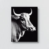 Bull 16 Wall Art