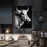 Bull 16 Wall Art