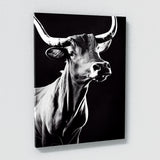 Bull 22 Wall Art