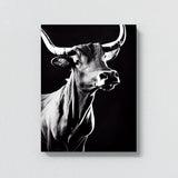 Bull 22 Wall Art