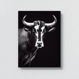 Bull 26 Wall Art