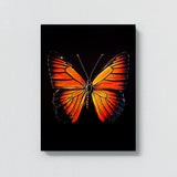 Butterfly 2 Wall Art