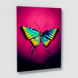 Butterfly 4 Wall Art