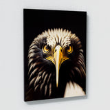 Eagle 1 Wall Art