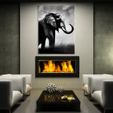 Elephant 10 Wall Art