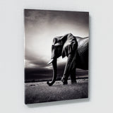 Elephant 12 Wall Art