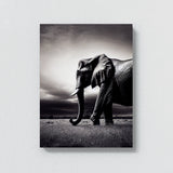 Elephant 12 Wall Art