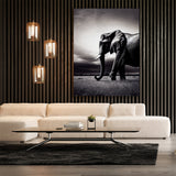 Elephant 12 Wall Art