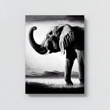 Elephant 2 Wall Art