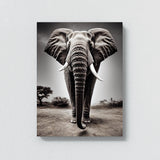 Elephant 20 Wall Art