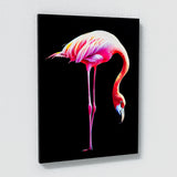 Flamingo 9 Wall Art
