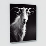 Goat 10 Wall Art