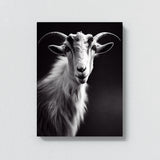 Goat 10 Wall Art