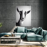 Goat 11 Wall Art