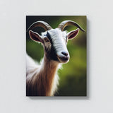 Goat 9 Wall Art