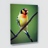 Goldfinch Bird 1 Wall Art