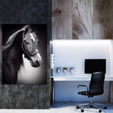 Horse 12 Wall Art