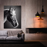 Horse 14 Wall Art