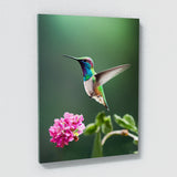 Humming Bird 6 Wall Art