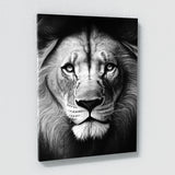 Lion Black And White Wall Art