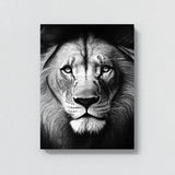 Lion Black And White Wall Art