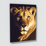 Lioness 9 Wall Art