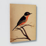 Oriole Bird 1 Wall Art