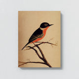 Oriole Bird 1 Wall Art