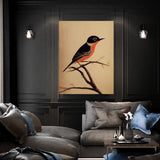 Oriole Bird 1 Wall Art