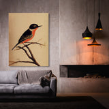 Oriole Bird 1 Wall Art