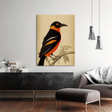 Oriole Bird 5 Wall Art