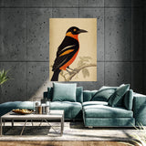 Oriole Bird 5 Wall Art