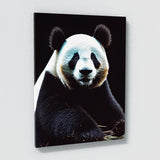 Panda 6 Wall Art