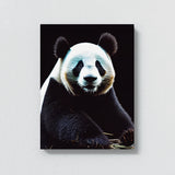 Panda 6 Wall Art