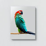 Parrot Macaw Bird 15 Wall Art