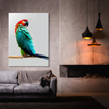 Parrot Macaw Bird 15 Wall Art