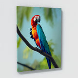 Parrot Macaw Bird 2 Wall Art