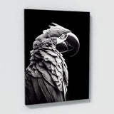 Parrot Macaw Bird 3 Wall Art