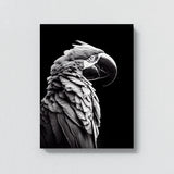 Parrot Macaw Bird 3 Wall Art