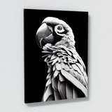 Parrot Macaw Bird 4 Wall Art