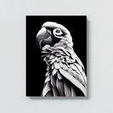 Parrot Macaw Bird 4 Wall Art