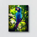 Parrot Macaw Bird 5 Wall Art