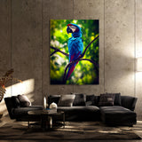 Parrot Macaw Bird 5 Wall Art